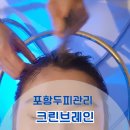포항 두피관리 크린브레인 두피건강을 위한 맞춤형관리(포항탈모병원)