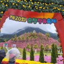 합천DC마트자판기 | 순창 장류축제 2025 실시간 후기 체험정보 주차팁