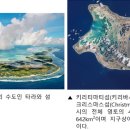 (동물 세계사) 009. 산호, 국가 건설의 주역이 되다. 이미지