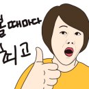 나비초 이미지