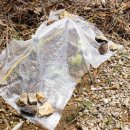 명학산 캠핑장 이미지