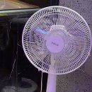 라이브 앤 러브무인텔 이미지