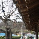 호산목장 이미지