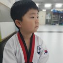 용인대 강한태권도장 이미지