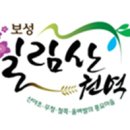 일림산권역
