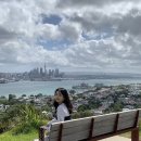 새하늘 NEW SKY | 뉴질랜드_Newzealand(7)| 오클랜드, 도메인 윈터가든스, 뉴질랜드 마그넷, 오클랜드 화미, Huami, 데본...