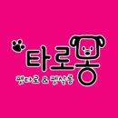 타로몽 이미지