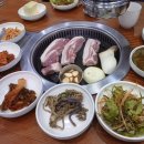제주도남원통나무펜션