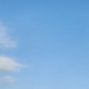 하영올레 1코스 | 3월 14일, 하영 올레 1코스 새섬 한바퀴 &amp; 새연교 일몰