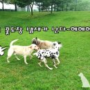 영심이꽃세상