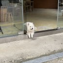 커피봉자 이미지