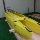 Wavewalk Kayak 선외기 튜닝 이미지