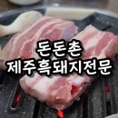 돈돈촌 이미지
