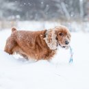 오산동물병원 이미지