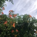 블리비의원 이미지