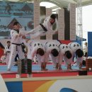 태권도 고수회 이미지