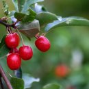 나을소아청소년과의원 이미지