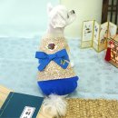 S펫 이미지
