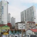 화도진약국 이미지