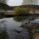 대곡농로 이미지