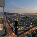 동동로R 머니투데이