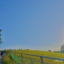 농업회사법인양떼구름(주) | [5년차 직장인 일탈 여행기] 양떼목장 대관령 아님 주의🚨⚠️울산 가볼만한곳 뚜벅이가 추천하는 #울산양떼...