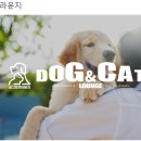 주노유통 이미지