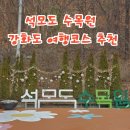 수목원 | 강화도 여행코스 추천, 석모도 수목원 후기