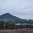 비자낭달집 이미지