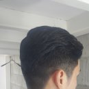 본비반트 이미지