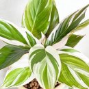 여리농장 이미지