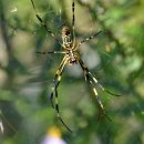 도립화목원 이미지