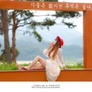 천년의정원 이미지