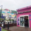 제퍼커피고성리점