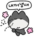 멍프리스쿨 이미지