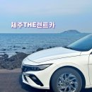 오케이카 서비스 | 제주도 렌트카 예약 후기 제주 렌터카 업체 가격비교 보험