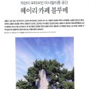 [파주/헤이리]갤러리카페 블루메에서 바리스타를 모집합니다. 이미지