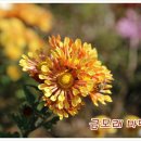 배감농장 이미지