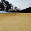 한국통닭 남촌점 | 동촌CC 날씨 추운 날 겨울 라운드 후기