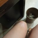 일진운수 이미지