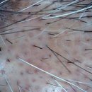 원형한의원 이미지