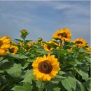 래미안카운티공인중개사사무소 이미지