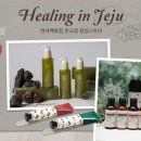 인제주 머니투데이