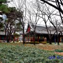 대구 경상감영지(大邱 慶尙監營址) 이미지