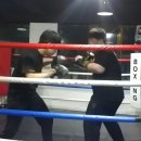 와룡 다이어트 복싱 이미지