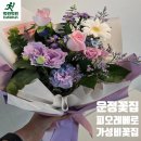 운정꽃집 야당역 피오레베로 플라워 집들이 꽃다발 예약 후기