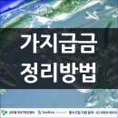 글로벌기업가정신협회컨설팅 이미지