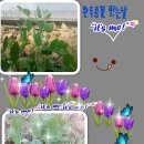 지암농장 이미지