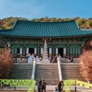 대지농산물 이미지