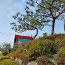 섬, 꾸지 seom, kkuji